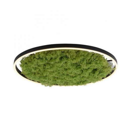 Leuchten Direkt Green Ritus Moss Ring 28W LED Flush Ceiling Light 