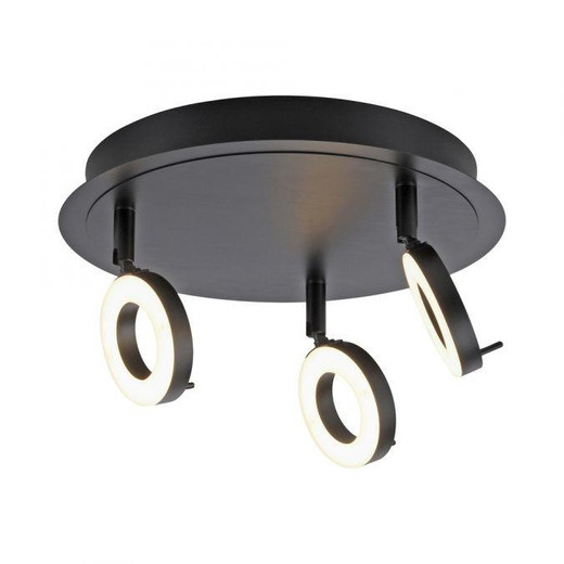 Paul Neuhaus Sileda 3 Light Anthracite Adjustable Plate LED IP44 Bathroom Ceiling Light 