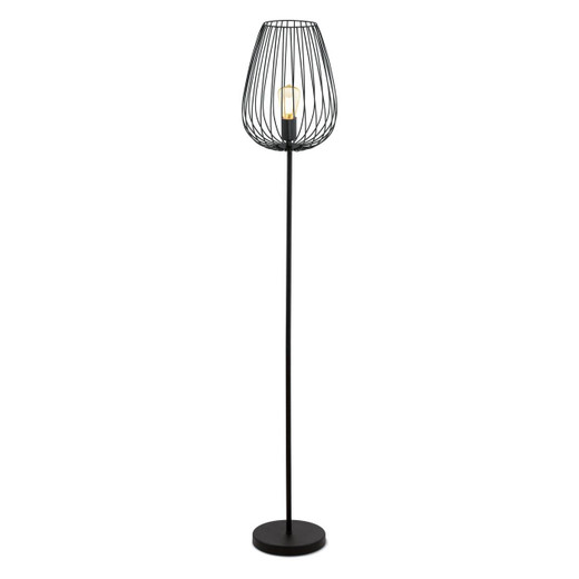 Eglo Lighting Newtown Black Steel Floor Lamp