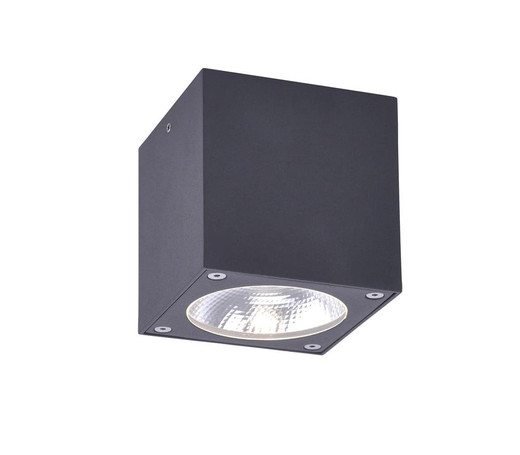 Paul Neuhaus GEORG Anthracite Cube Outdoor Surface Ceiling Light