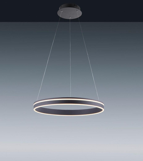 Paul Neuhaus Q-VITO 59 Anthracite Ringed Smart LED Pendant Light