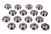 Dual Spring Retainers - 1.495/1.155/.835