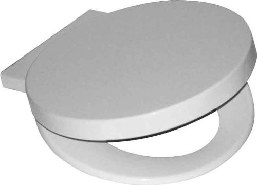 Caroma Brisbane Toilet Seat The Plumbing Mall