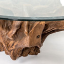 Natura Round Root Coffee Table - L