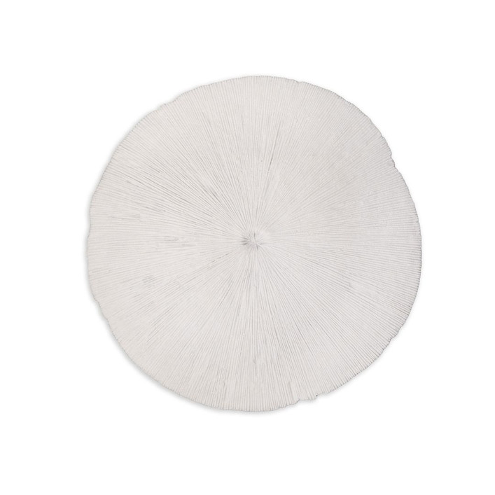 Sand Dollar - M