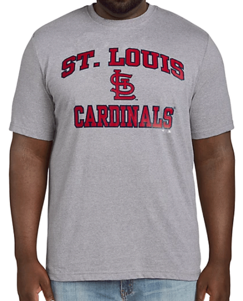 Fanatics MLB Saint Louis Cardinals Heather Gray Short Sleeve Tee Shirt 5XT Black/White/Multi