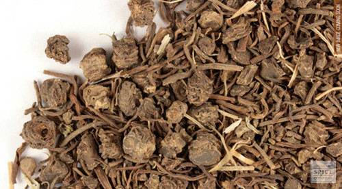Valerian Root Valerian Root