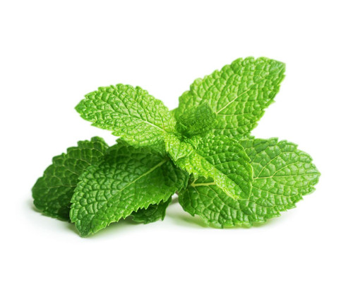 Peppermint ORGANIC Essential Oil