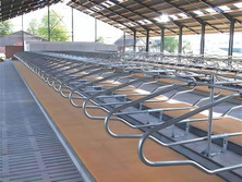 Cattle Equipment