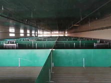 PP Plank - L Series - 900X50 mm Without Vent Slots