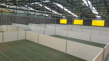 PVC Plank - 900X35 mm Diagonal