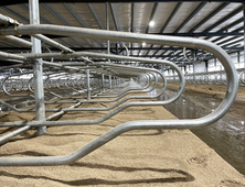 East Rock Dairy Jersey Freestall Divider image 1