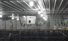 L.B. White Guardian forced-air heaters installed in a farrowing room; representative installation