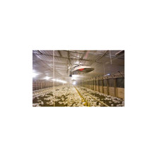 L.B. White I-Series radiant brooder suspended above poultry in a barn; representative application