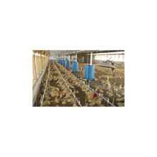 L.B. White I-Series radiant brooders installed above ducks in a poultry building; representative application