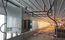 L.B. White Guardian forced-air heater installed in a wean-to-finish swine building; representative installation