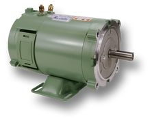IND No. PM046 – 1/3HP 12V S56C Frame/Feet TENV