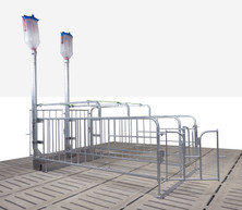 Crystal Spring gestation and breeding stall assembly with overhead feed dispensers