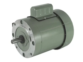 Representative AG-I Farm Duty motor photo for part C290; pictured motor C492, main view. Actual specifications vary by SKU.