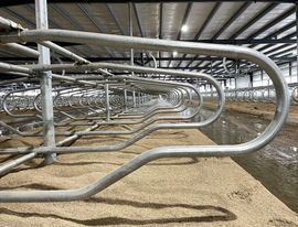 East Rock Dairy Freestall Dividers image 1