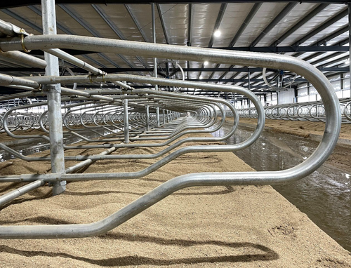 East Rock Dairy Jersey Freestall Divider image 1