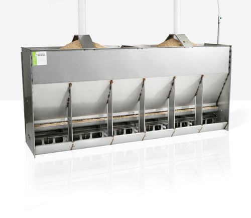 WEAN-TO-FINISH WET/DRY FEEDER (MODEL F2)