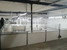 PVC Plank - 900X50 mm Diagonal