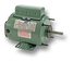 IND No. F800 – 1/3HP 115/230V 48 Frame “M” Mount Base/Ext. T-Bolts TEAO