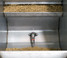 Close-up of Crystal Spring P2 wet/dry pen feeder shelf, trough and water nipple