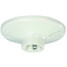 LAMPHOLDER PLASTIC WHITE 4IN