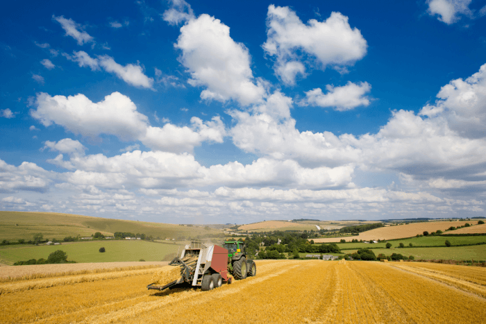 Agriculture landscape