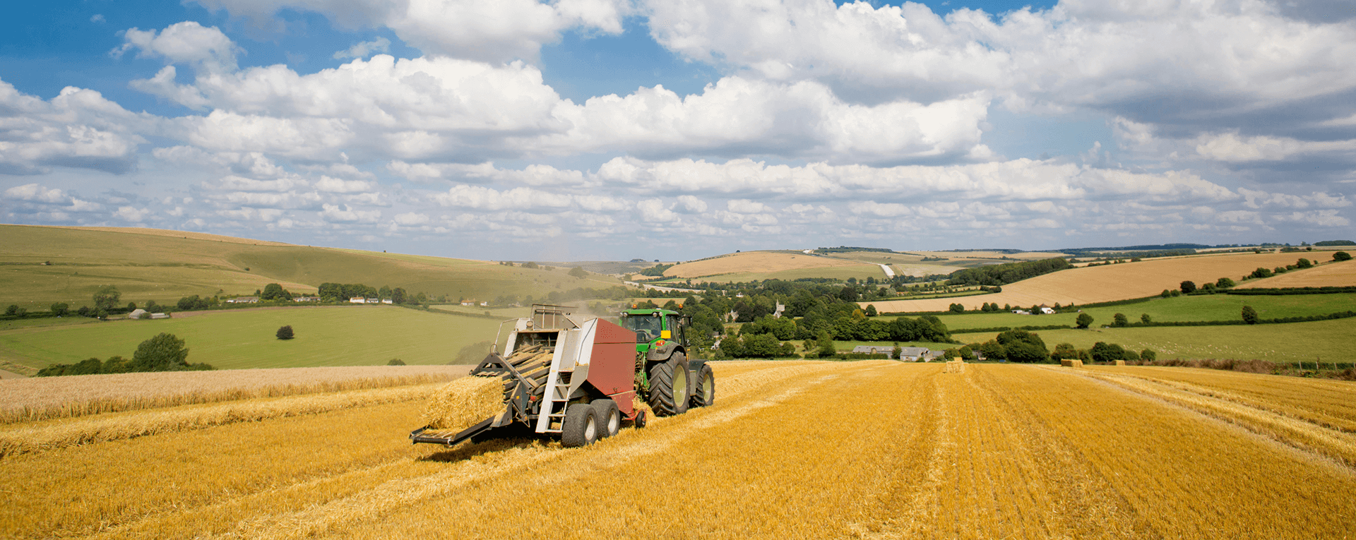 Agriculture landscape