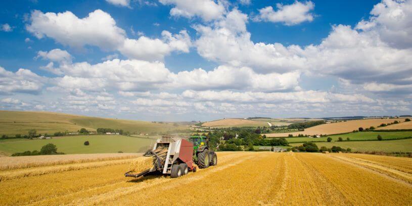 Agriculture landscape