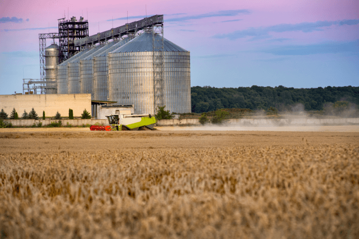Agriculture landscape