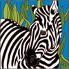 6x6 Tile Zebra