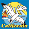 6x6 Tile California Seagull 7656A