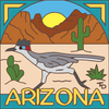 6x6 Tile Desert Roadrunner Arizona