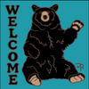 6x6 Tile Hello Bear Welcome Turquoise