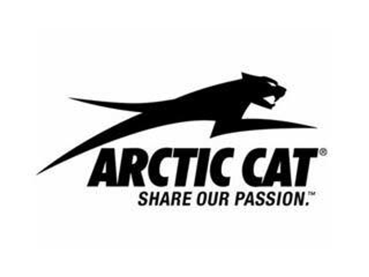 ARCTIC CAT