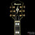 Ibanez PM120 Pat Metheny Signature Hollowbody Black