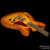 Fano Alt de Facto GF6 NAMM Vintage Amber Fano Alt de Facto GF6 NAMM Vintage Amber