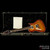 Roger Giffin Brigand Singlecut Faded Tobacco Sunburst Roger Giffin Brigand Singlecut Faded Tobacco Sunburst