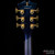 D'Angelico Deluxe DC Chameleon D'Angelico Deluxe DC Chameleon