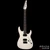 Tom Anderson Angel Player - White w/ Black Dog Hair