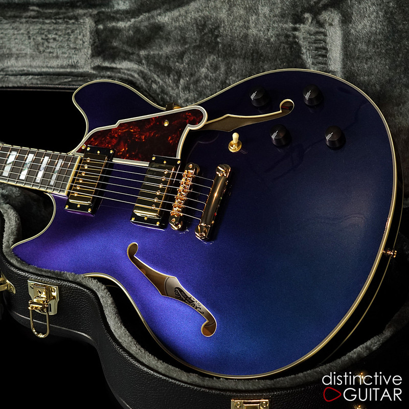 CELEMONIES D’AFLIQUE D'Angelico Deluxe DC Chameleon