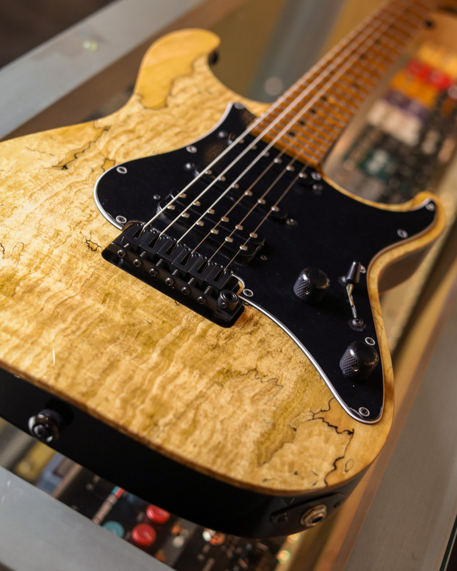 Suhr Standard Custom - Natural Spalted Maple