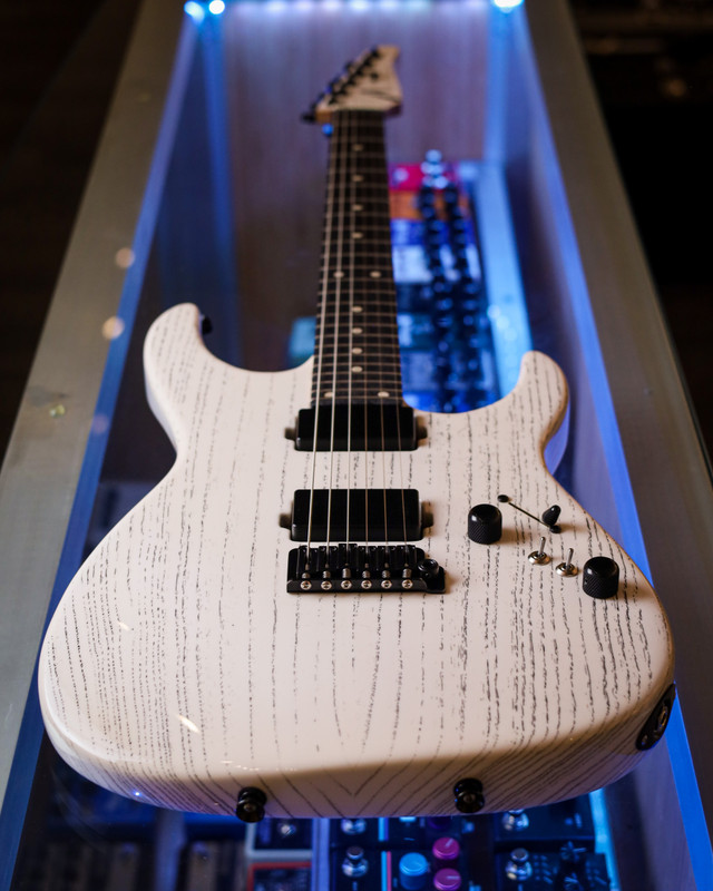 Tom Anderson Angel Player - White w/ Black Dog Hair