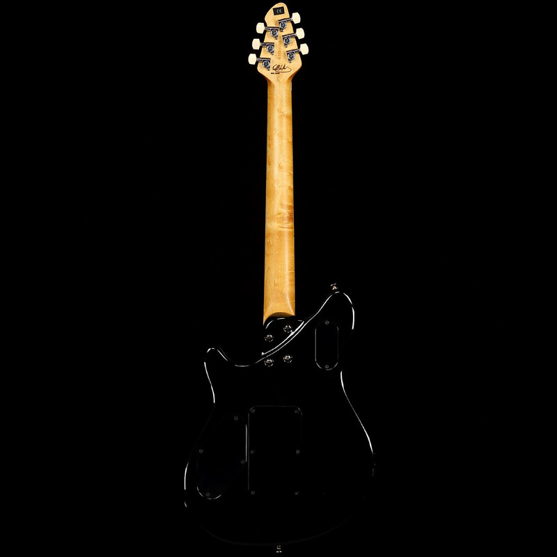 Peavey USA EVH Wolfgang Black