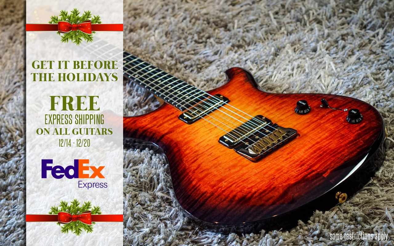 Get it Before the Holidays - Free Express Shipping!