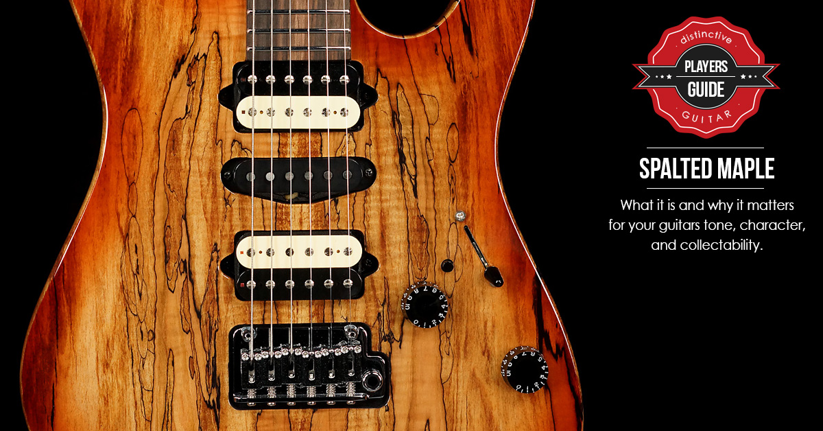 Spalted Maple Guitars What Is Spalted Maple Why Does It Matter